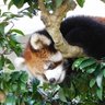 sugomori14 profil fotoğrafı