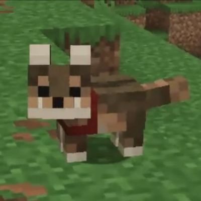 베치's profile picture