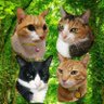 ЀПÑП пÑПÑÐžÐ»Ñ neko takako