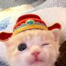 Profilbild von dbjsnnjabhwrichgolddigger
