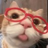 Profilbild von James Brendan
