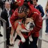 Roscoe Racing…🦉 profil fotoğrafı