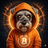 Luigi Fortunato's profile picture