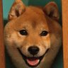薄力小麦粉's profile picture