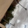 مهذب's profile picture