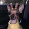 Profilbild von MiniJirafa56