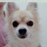 Raruyuka profil fotoğrafı