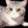 Profilbild von 跑蛋蛋(刘二蛋) Eggs Liu