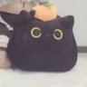橘子猫天水🍊 的头像