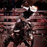 Фото профиля Just a Joe
