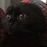 saudade's profile picture