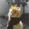 Zane Chee's profile picture