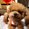 Liu Creamu profil fotoğrafı