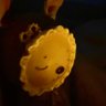 Profilbild von 🍂 Hazel Appleby 🥧