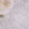 Profilbild von 뽁뽁