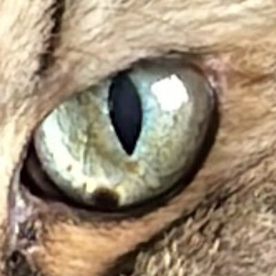 العراق هو الحضاره و الحضارة هي العراق 2 الاحتياط's profile picture