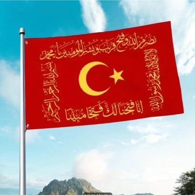 GokceOsmanli's profile picture