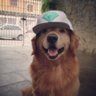 larilarile profil fotoğrafı