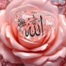 ksa profil fotoğrafı