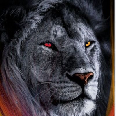 GalatasarayCezh's profile picture