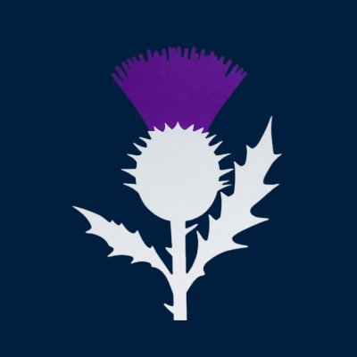 NewScotProfiles's profile picture