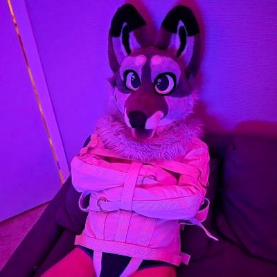 Luke AD🐶🌧 NFC26's profile picture
