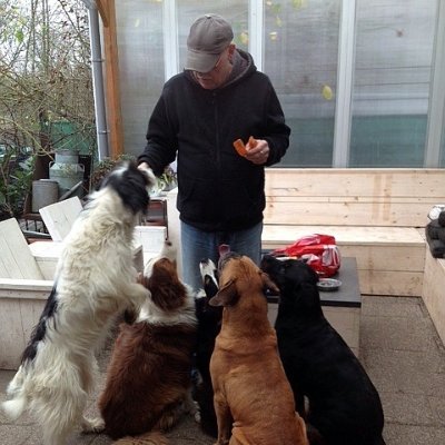 Rick Timmer's profile picture