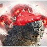 Hogzilla profil fotoğrafı