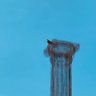 angii_ ོ☼ profil fotoğrafı