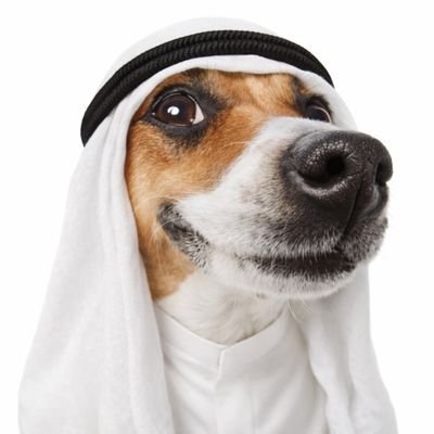 imbwa y'imana🐶🐶's profile picture