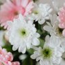 damla bilgiç's profile picture