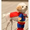 Mary Zhang's profile picture