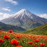 Mahnam 的头像