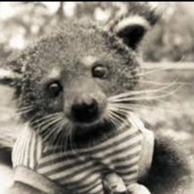 Nahbabynah's profile picture