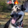 German Shepherd Dad 🇺🇸 & 🔥 的头像