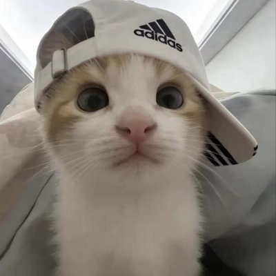 karnthc's profile picture