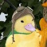 s's profile picture