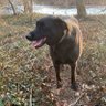 Euby profil fotoğrafı