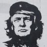 Rothschild 🇮🇱 🇨🇴 profil fotoğrafı