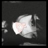 E1u#$mag profil fotoğrafı