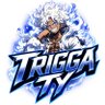 TriggaTy1_TK #STARBOY #NerdBoy 🌩⚡️'s profile picture
