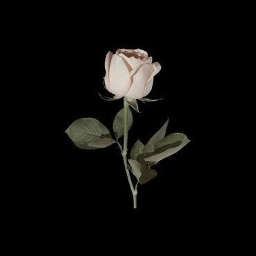 ꜱᴇᴏʜʏᴜɴ's profile picture