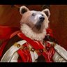 Фото профиля BearTrap