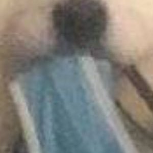 xiaobozZz's profile picture