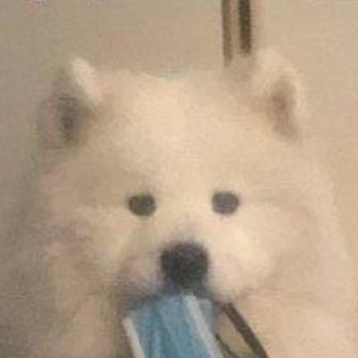 Suv060's profile picture