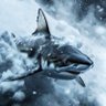 Profilbild von SnowShark
