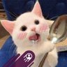 Фото профиля Meow77