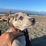 jeffvw profil fotoğrafı
