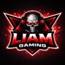Profilbild von 🔰👹🔴 Liam 🔴👹🔰 (The Gaming)
