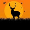 Mutig Sak's profile picture